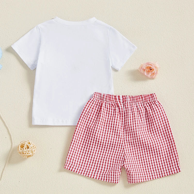 Baby Boy Birthday Outfit Set with Cute Animal Print Top and Stylish Plaid Shorts - Toddler 2 Piece Clothing Set - Pet and Family Living 