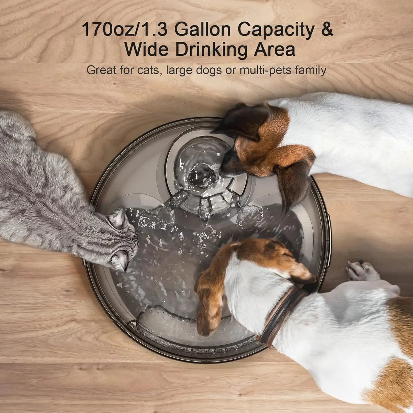 NPET DF10 Dog Water Fountain for Multiple Pets - Pet and Family Living 