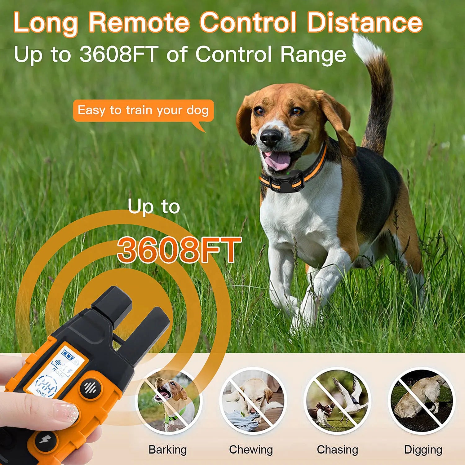 Electric Dog Training Collar With Remote Control - Pet and Family Living 