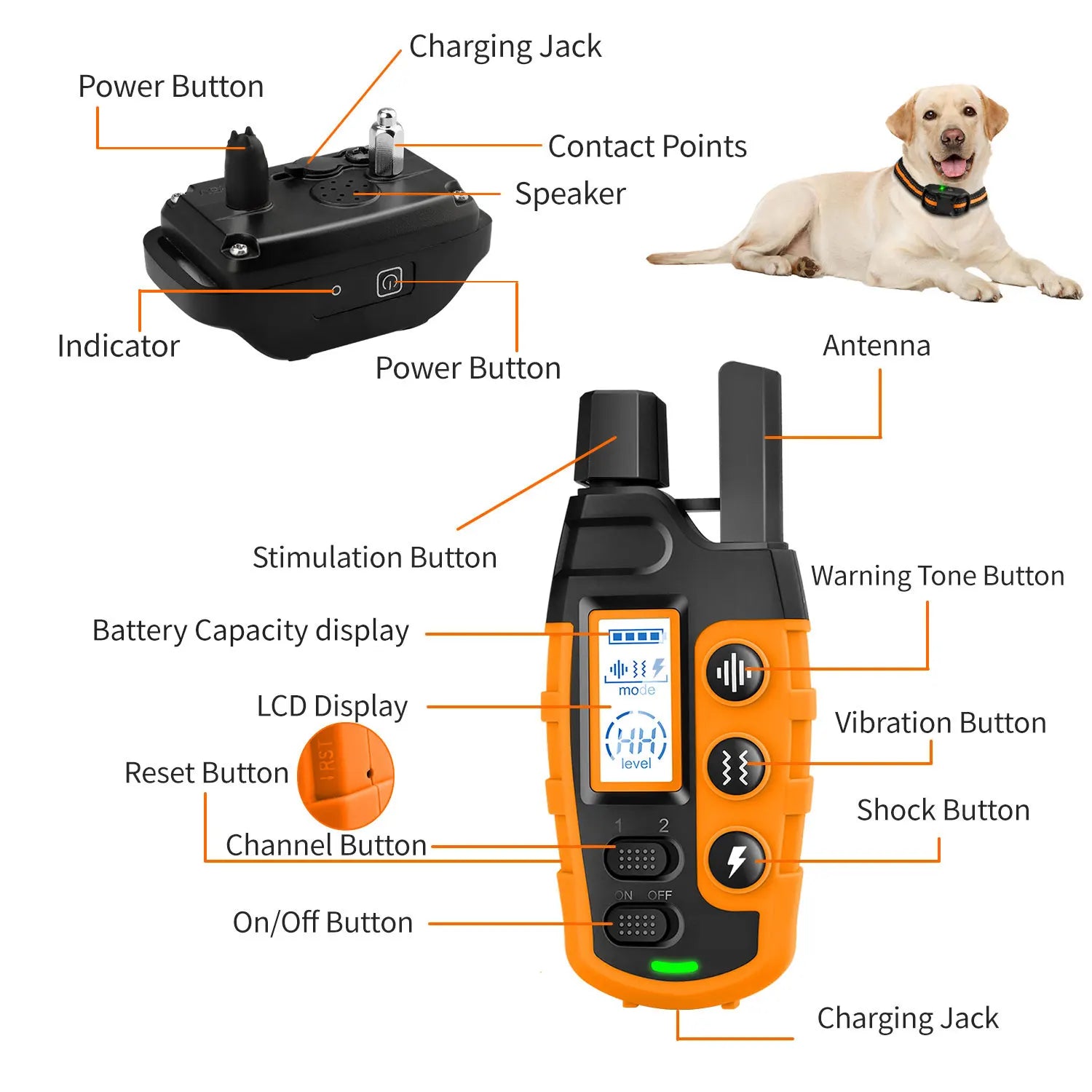 3300Ft Waterproof Electric Dog Training Collar - Pet and Family Living 