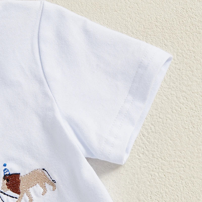 Baby Boy Birthday Outfit Set with Cute Animal Print Top and Stylish Plaid Shorts - Toddler 2 Piece Clothing Set - Pet and Family Living 